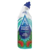 Astonish гель для унітазу Eucalyptus 750мл (12)